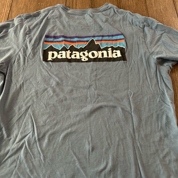 Patagonia Other - Patagonia Men's Blue T-Shirt. Size Large.